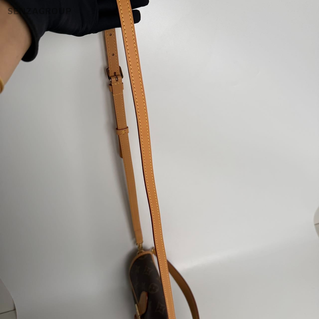 SJ0001 Louis Vuitton Diane nano bag