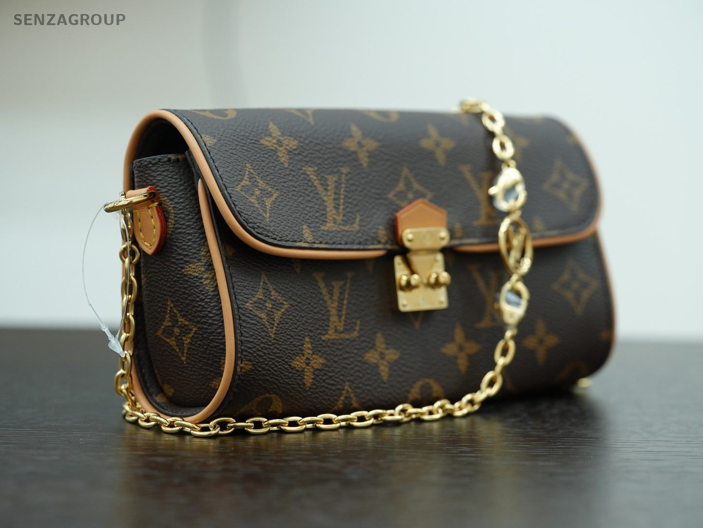 Louis Vuitton Pochette Camille Monogram Chain Shoulder bag Brown Women M13566