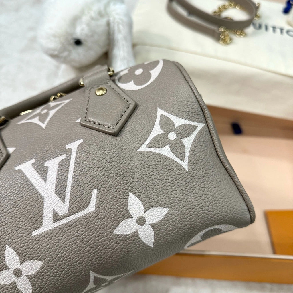 Louis Vuitton Speedy 20 Canvas Gray Handbag Top Handle Excellent