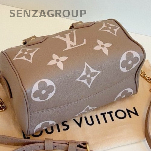 Louis Vuitton Speedy20 Monogram Top Handle Bag Crossbody Gray Gold Women Classic