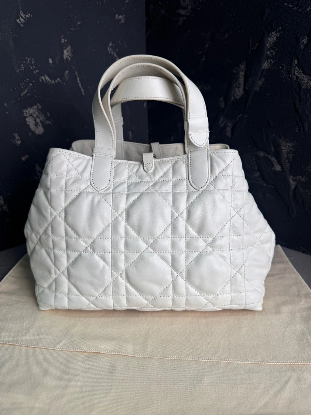 Dior Medium Leather Tote Bag For Women