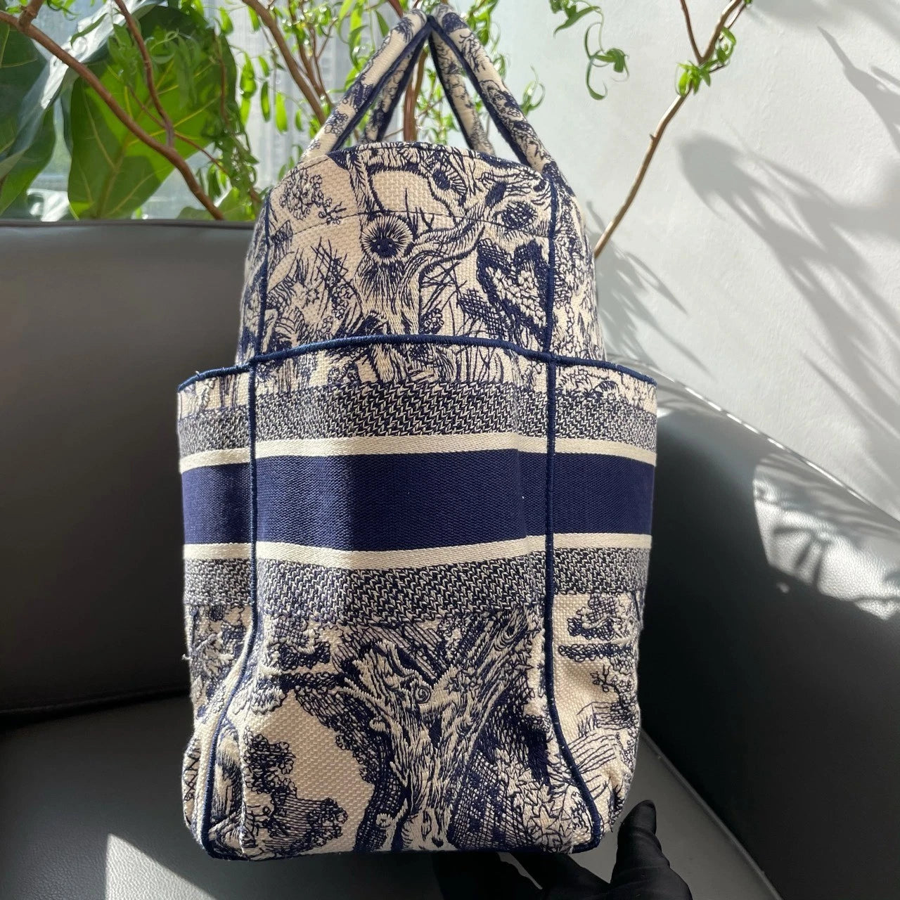 Dior Large Book Tote Printed Canvas Tote Bag For Women