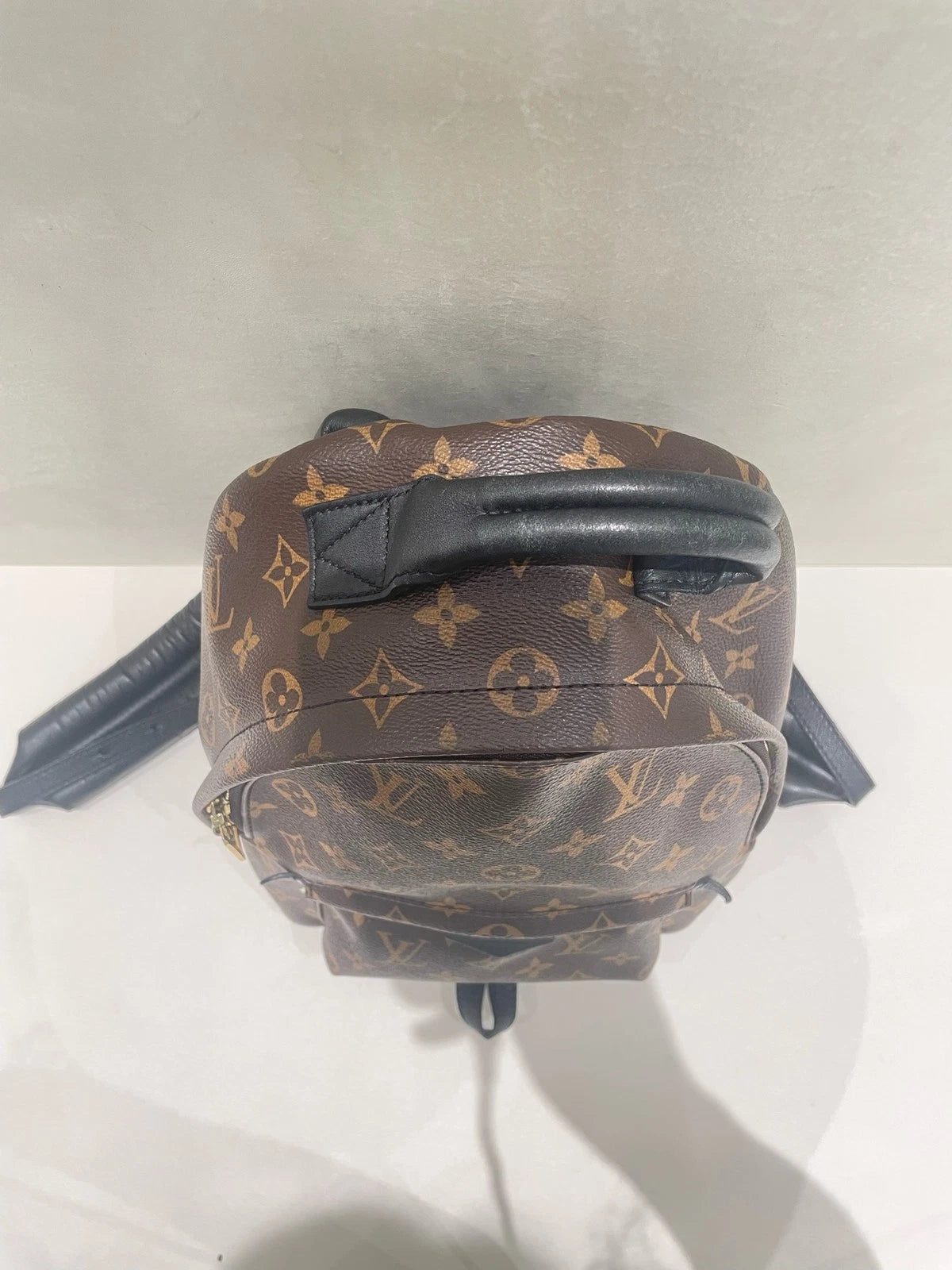 Louis Vuitton Palm Springs Monogram Canvas Small Backpack