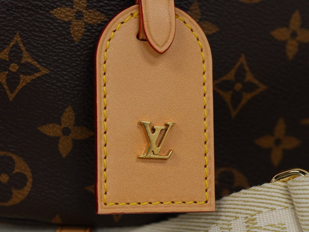Louis Vuitton Bumbag Monogram Canvas Crossbody Shoulder bag Used Women Classic