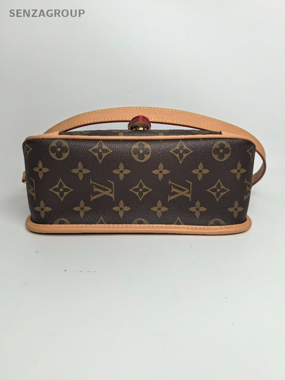 SJ0001 LV Diane baguette bag