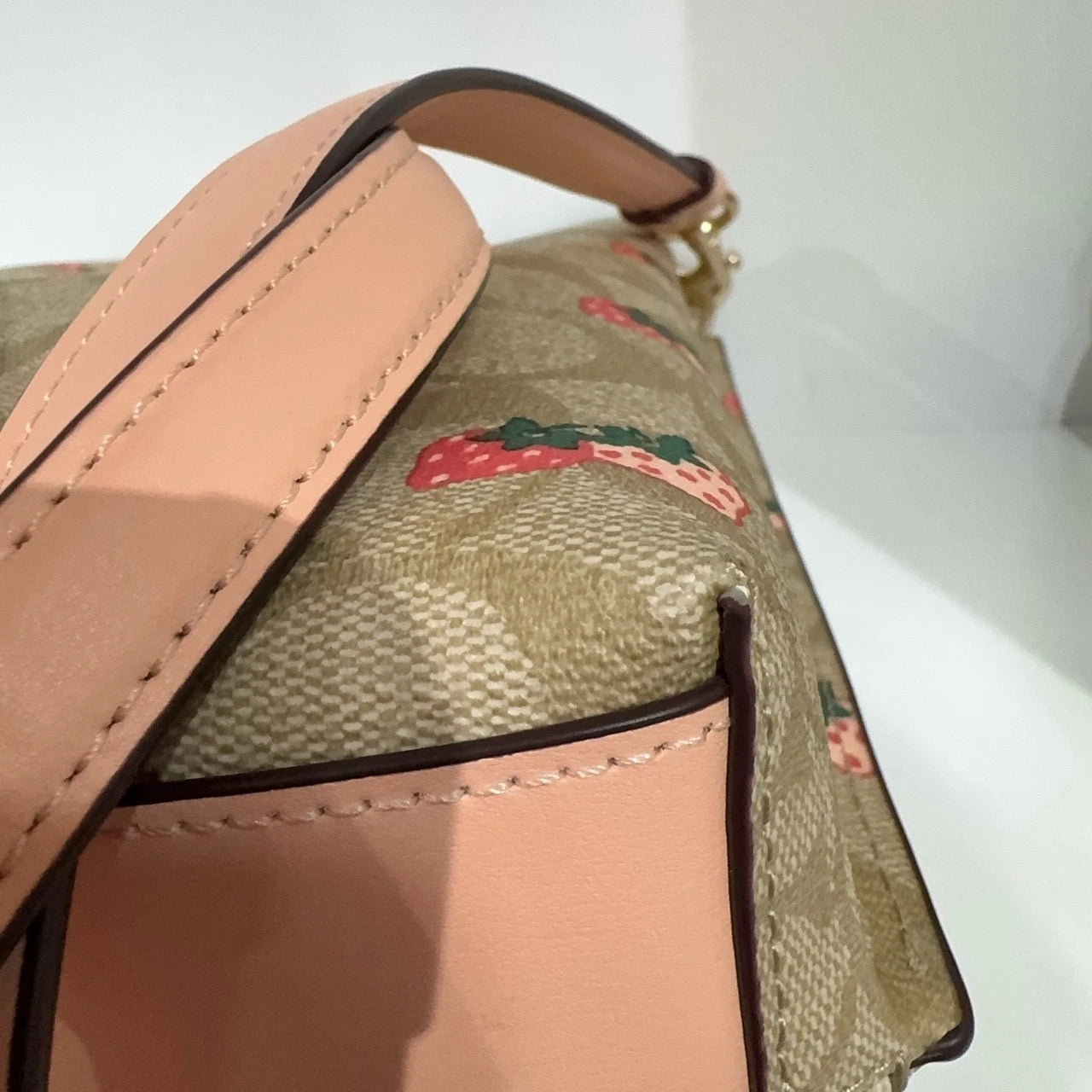 Coach Women's Strawberry Print Canvas Bucket Crossbody Shoulder Bag