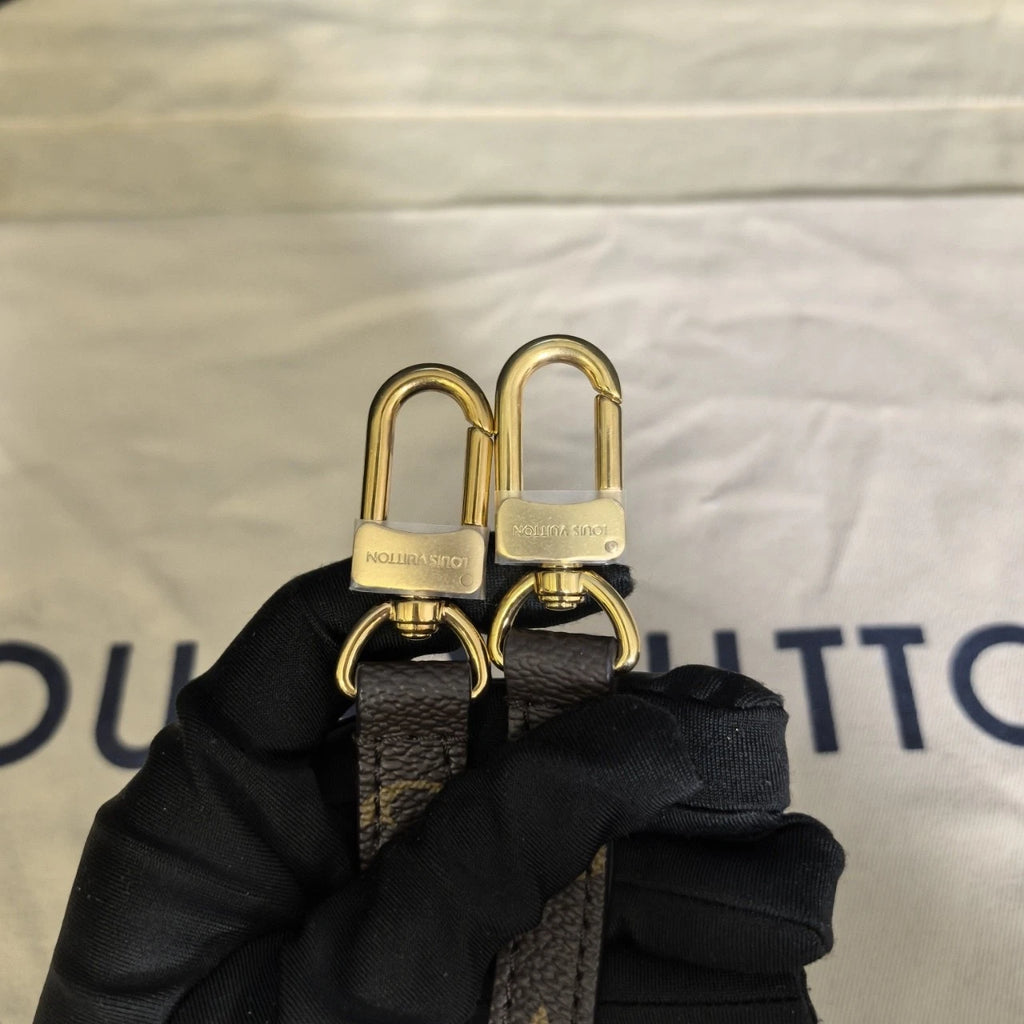 Louis Vuitton Canvas Frog Backpack For Women