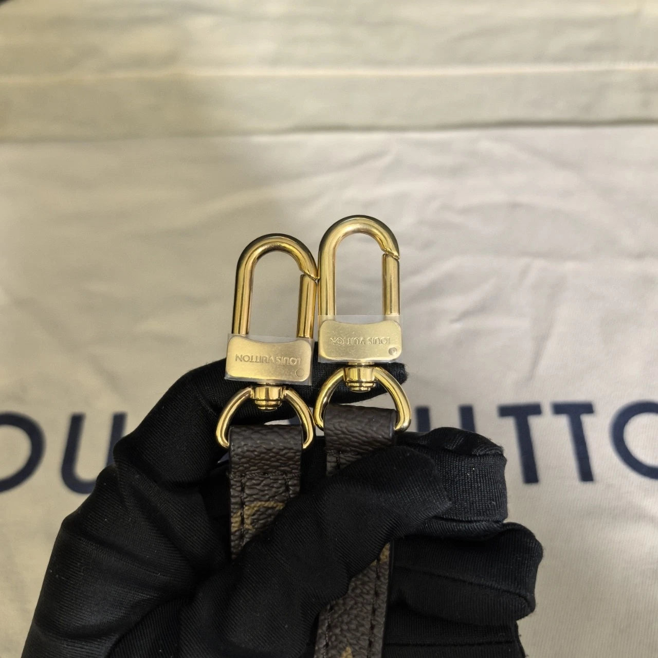 Louis Vuitton Canvas Frog Backpack For Women