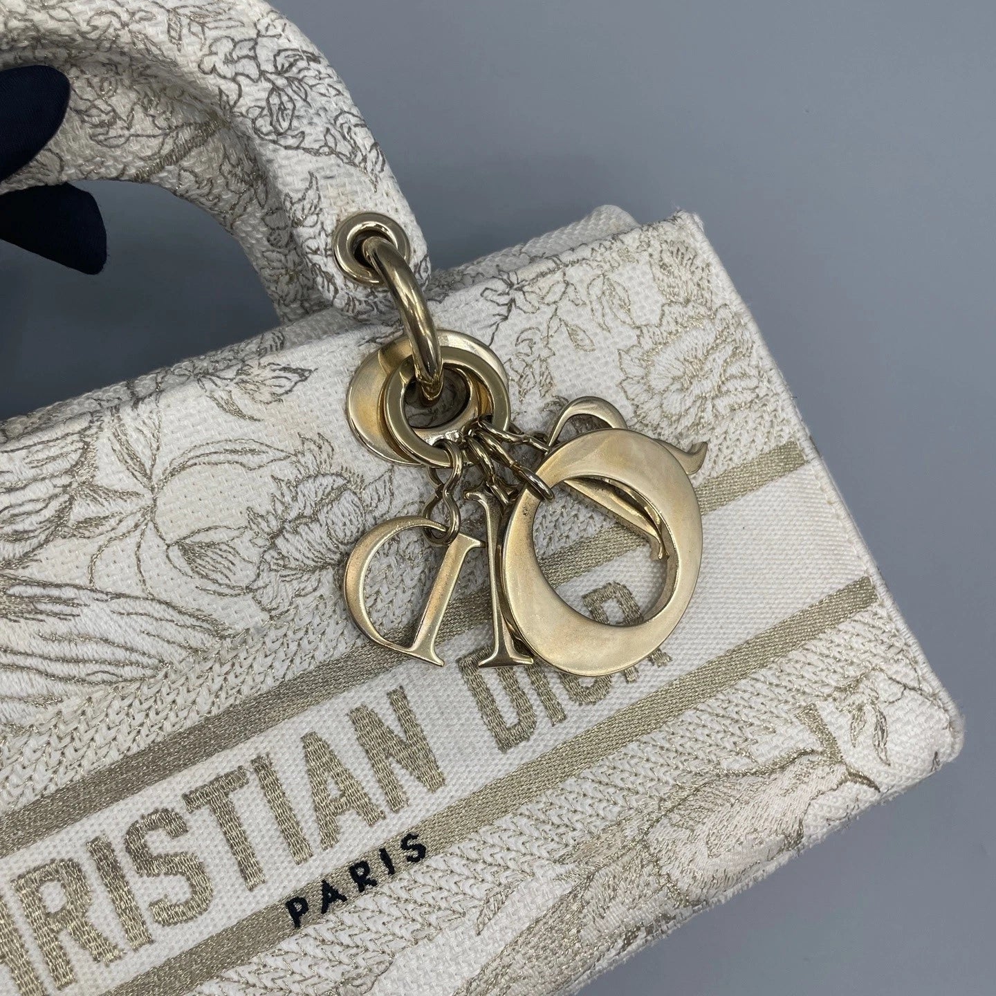 Authentic Dior Limited Zoo Lady Dior Handbag Crossbody Bag For Women