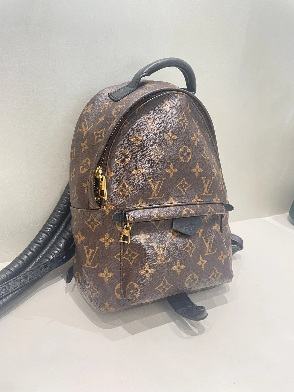 Louis Vuitton Palm Springs Monogram Canvas Small Backpack