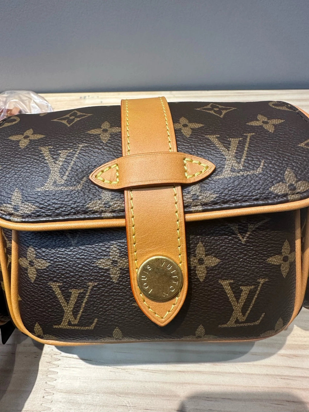 Louis Vuitton New Chip Version Camera Crossbody Bag For Women