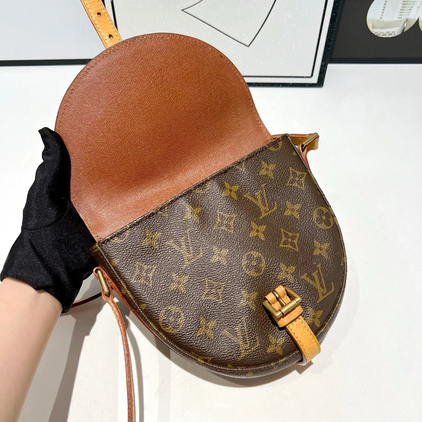 Louis Vuitton Canvas Shoulder Bag For Women