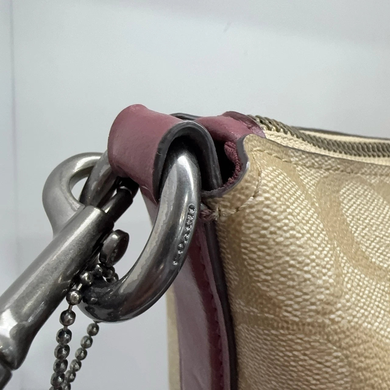 Coach Disney Sleeping Beauty Canvas Print Bucket Crossbody Bag For Women Beige
