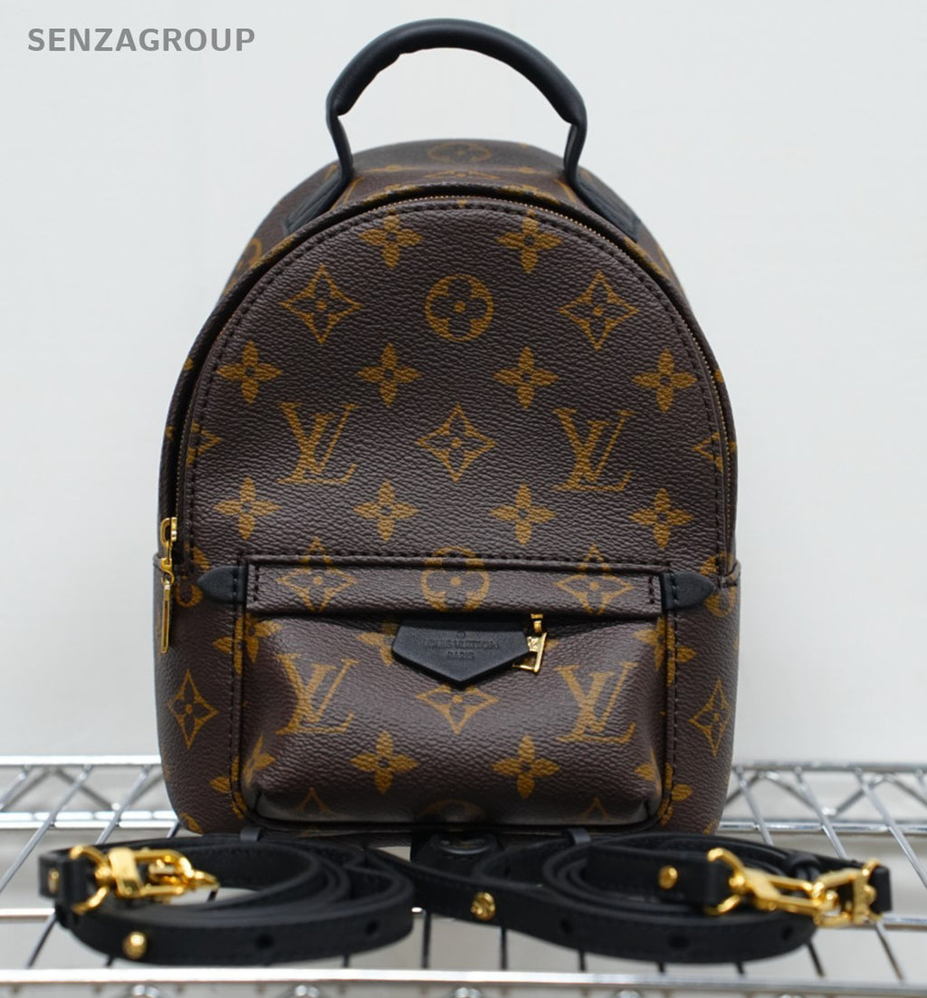 Louis Vuitton Palm Springs Backpack Shoulder bag Almost Brand NEW