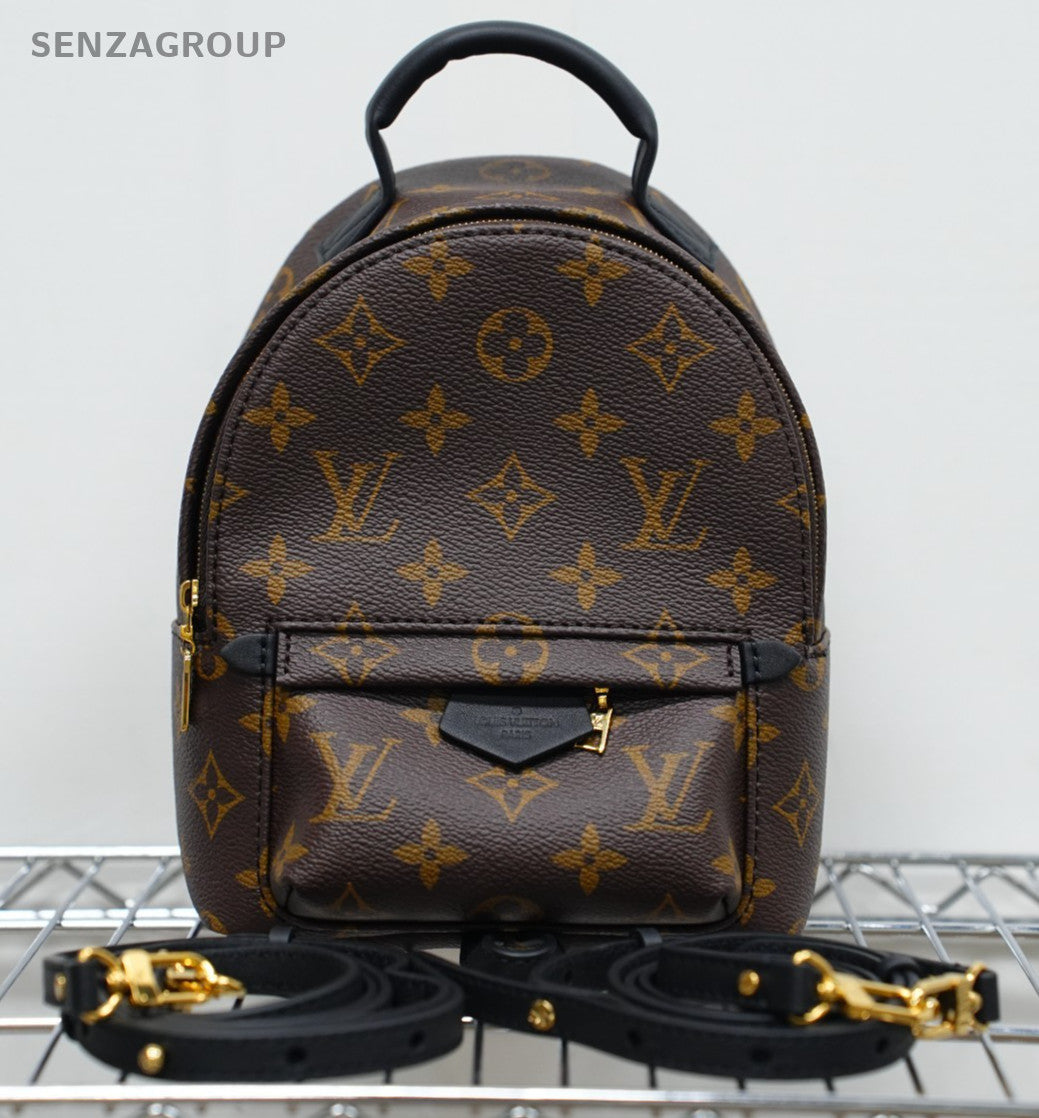 Louis Vuitton Palm Springs Backpack Shoulder bag Almost Brand NEW
