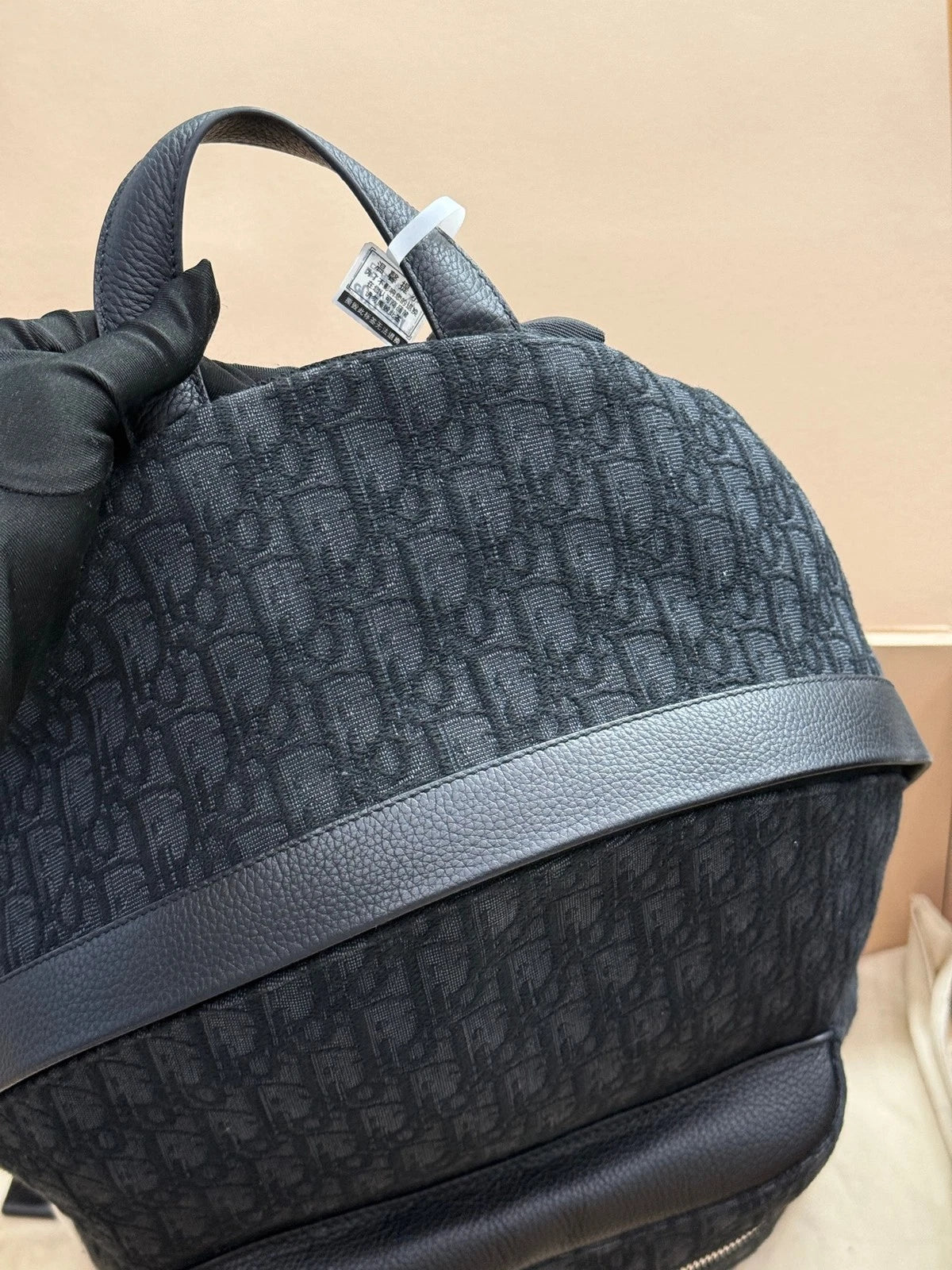 Dior Canvas Oblique Backpack For Women
