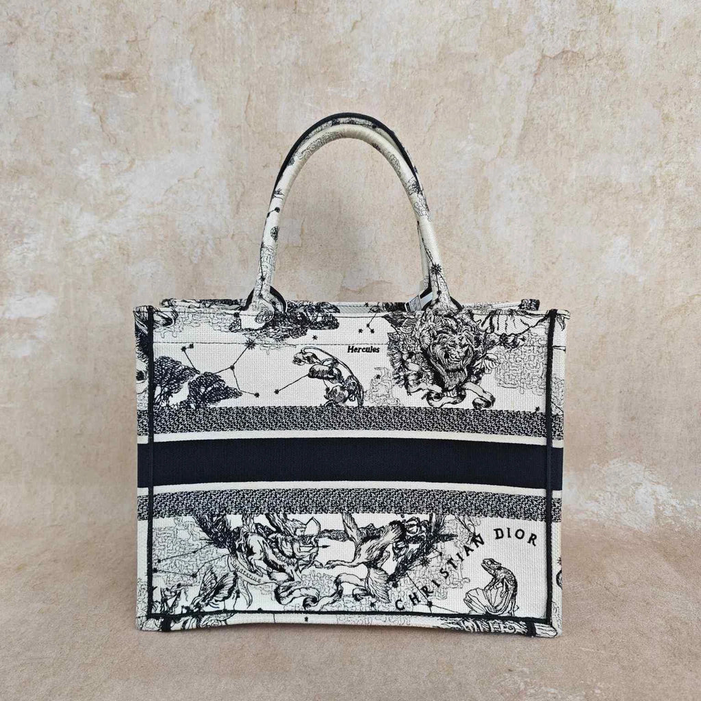 Dior Embroidered Constellation Medium Canvas Tote Handbag For Women