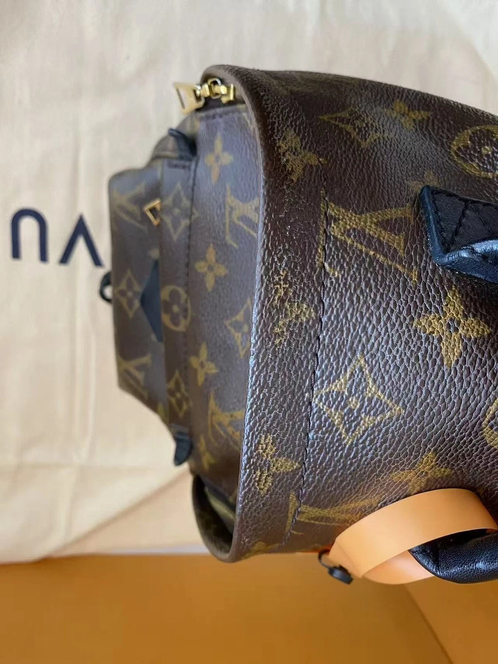 Louis Vuitton Monogram Canvas Palm Springs Mini Backpack