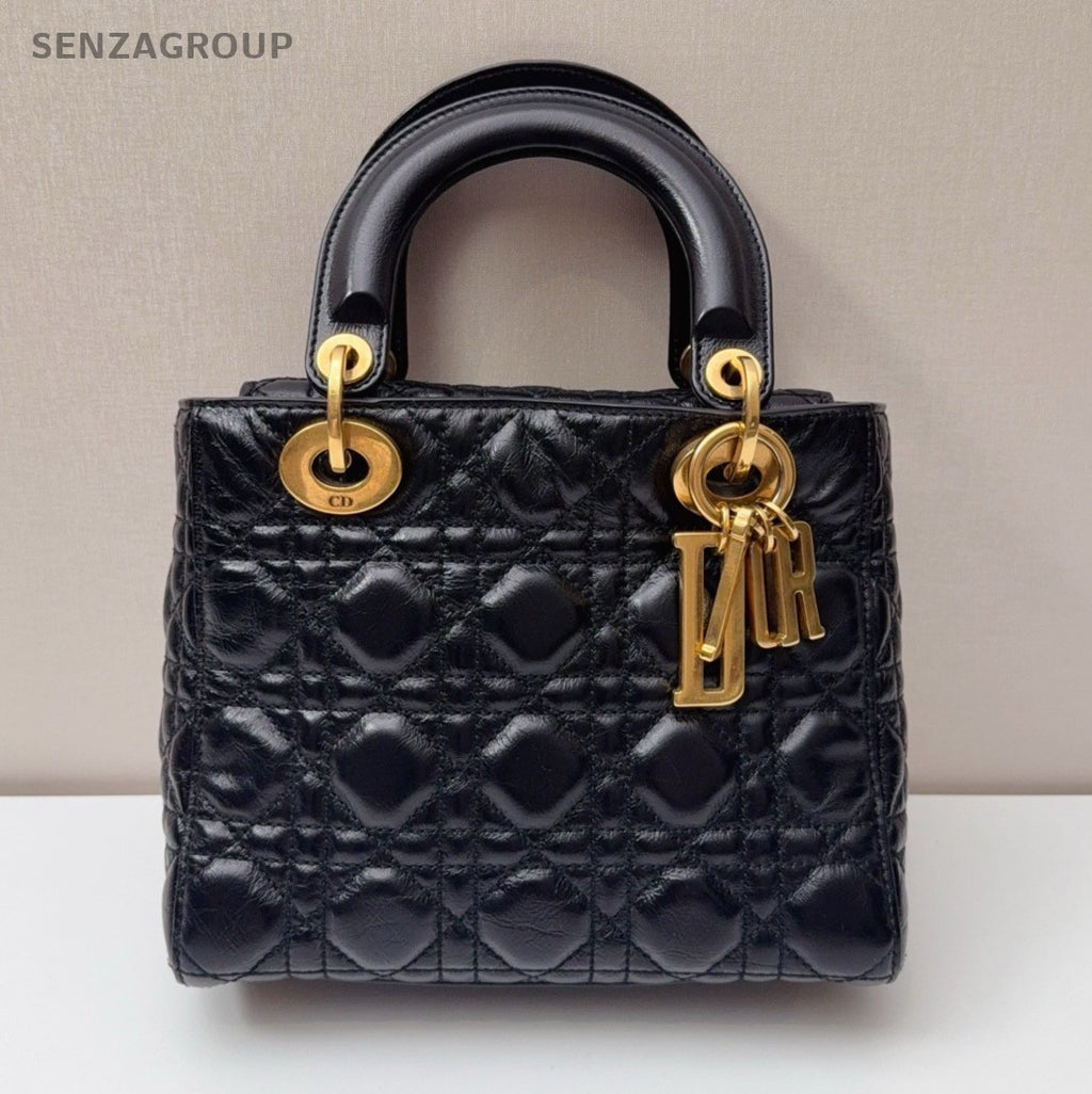 Christian Dior Lady Top Handle Oil-waxed leather 2way Shoulder Handbag Black