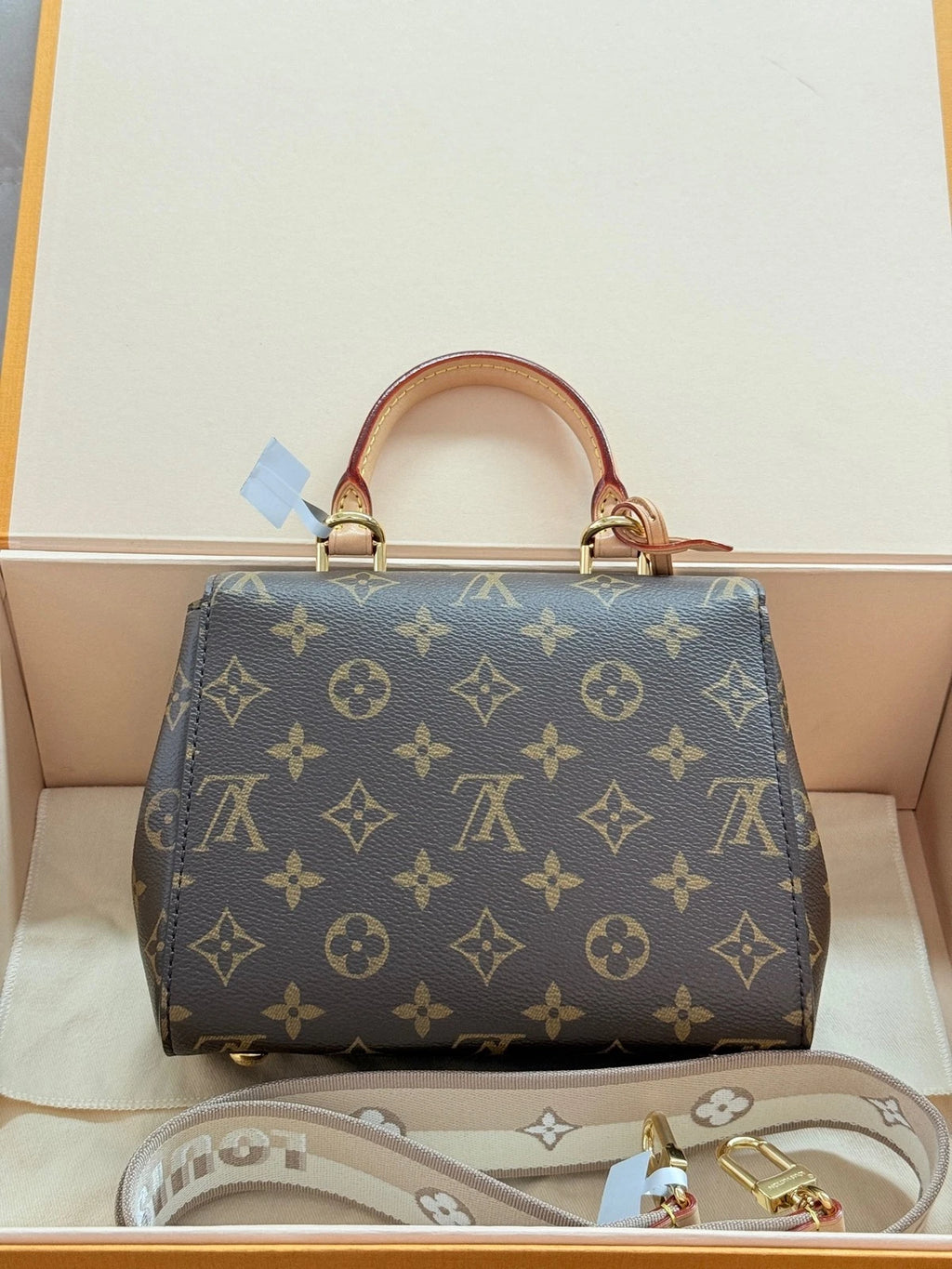 Louis Vuitton Mini Cluny Monogram Canvas Shoulder Bag For Women