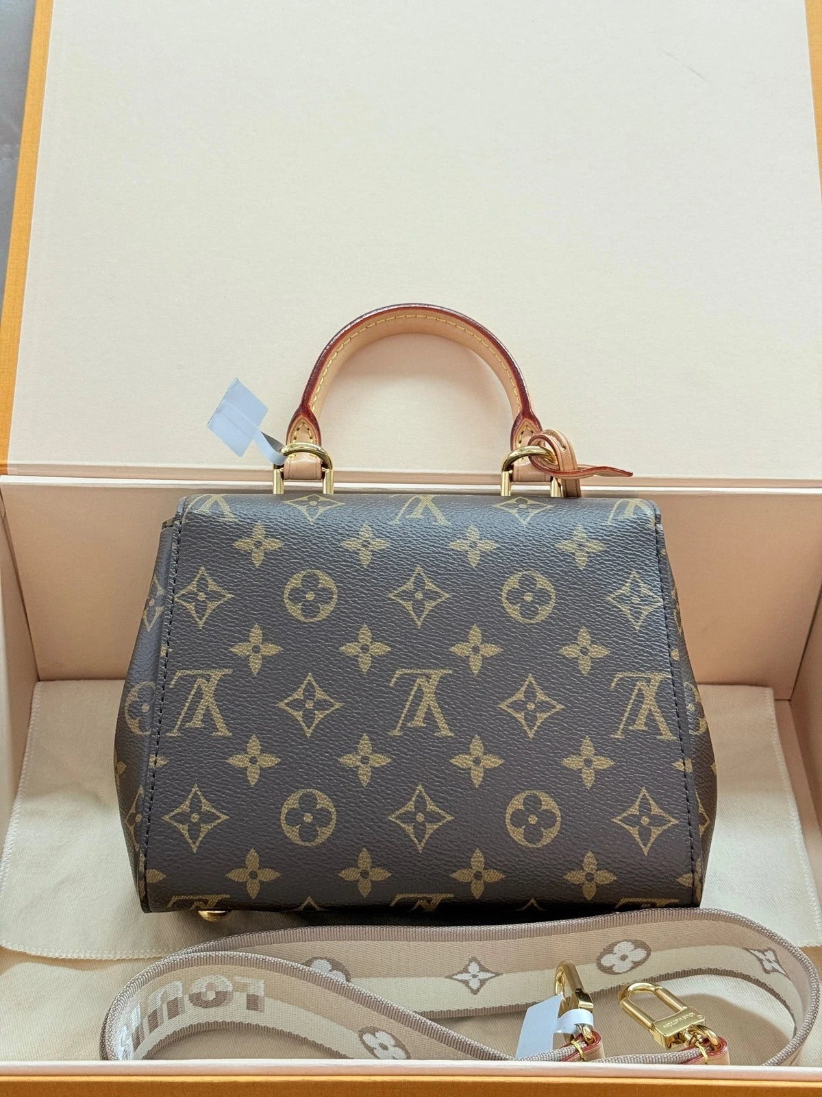 Louis Vuitton Mini Cluny Monogram Canvas Shoulder Bag For Women
