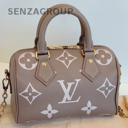 Louis Vuitton Speedy20 Monogram Top Handle Bag Crossbody Gray Gold Women Classic