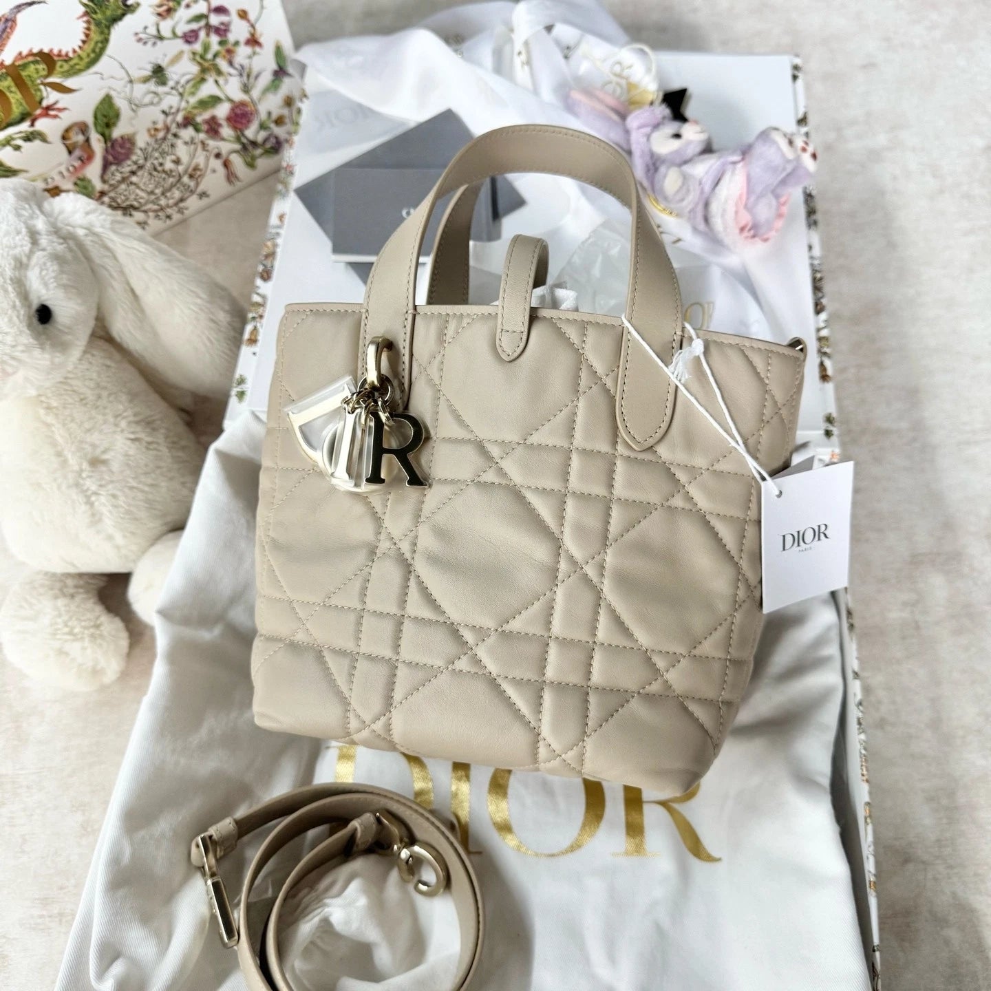 New Dior Calfskin Toujours Vertical Small Shoulder Bag For Women