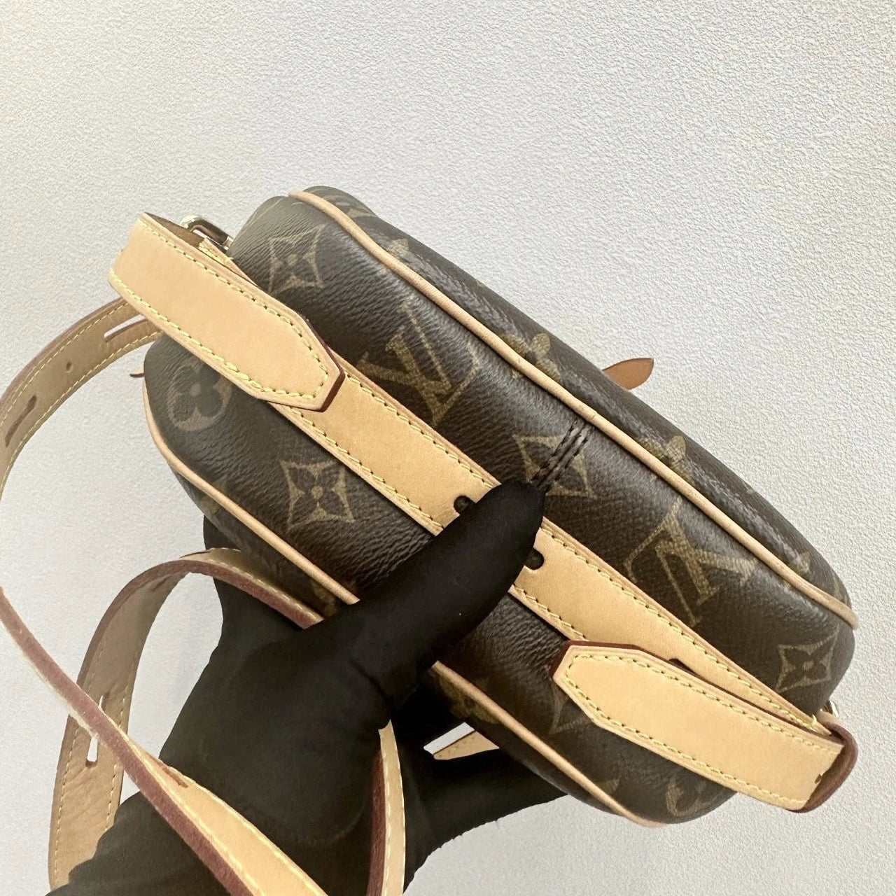 Louis Vuitton Canvas Large Soft Box Bag For Women