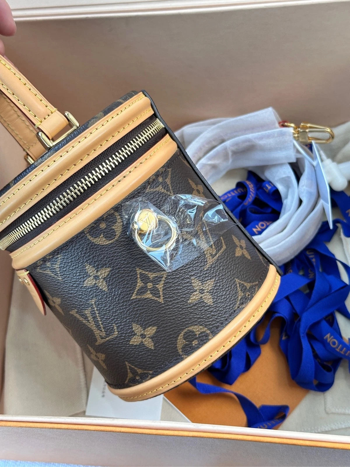 Louis Vuitton Cannes Monogram Canvas Mini Bucket Bag