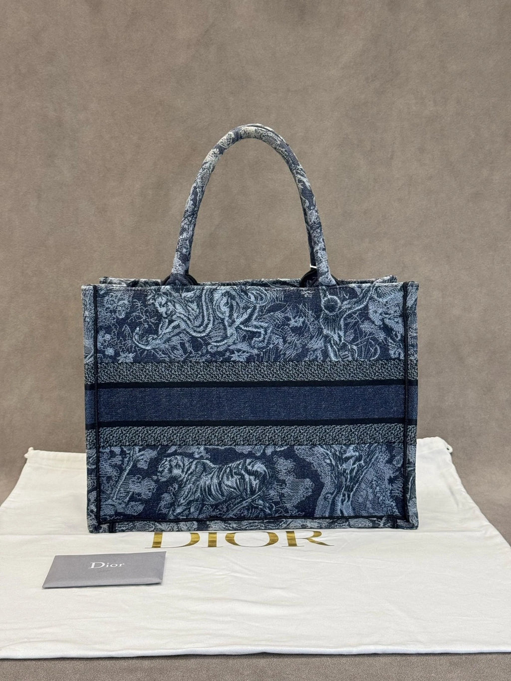 Dior Canvas Embroidered Printed Medium Tote Handbag For Women