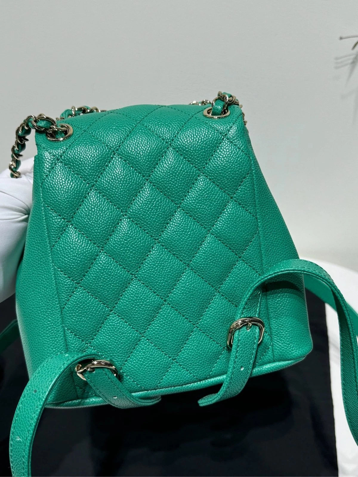 CHANEL Mint Green Grained Leather Small Duma Backpack For Women
