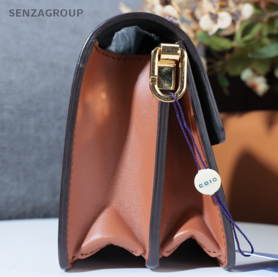Louis Vuitton Dauphine Monogram PM Shoulder Bag Crossbody Brown Women Classic