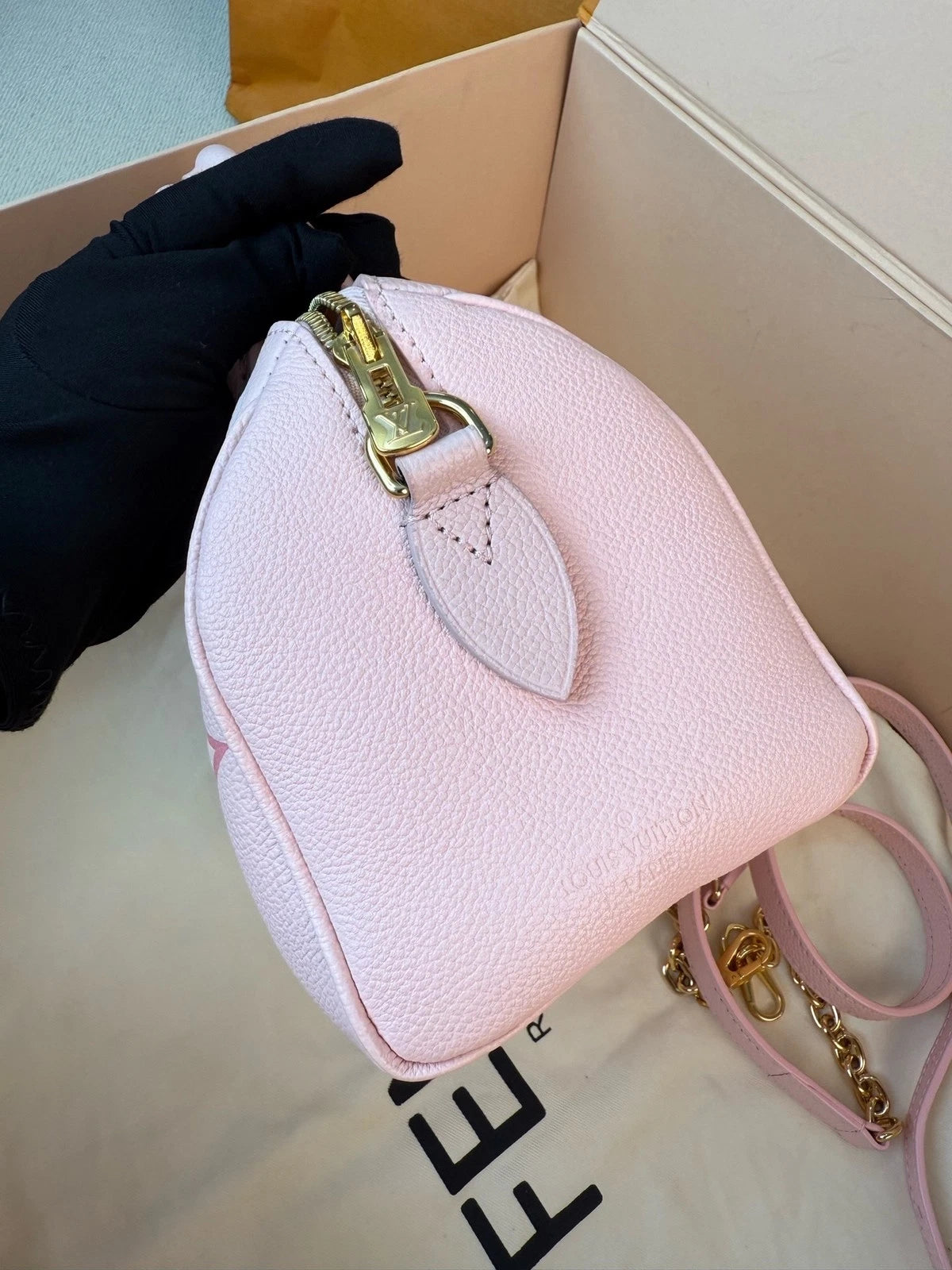 Louis Vuitton Speedy 20 Strawberry Ice Cream Handbag Women