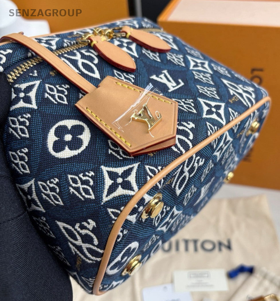 Louis Vuitton Vanity Denim PM Top Handle 2WAY Crossbody bay CHIP VERSION