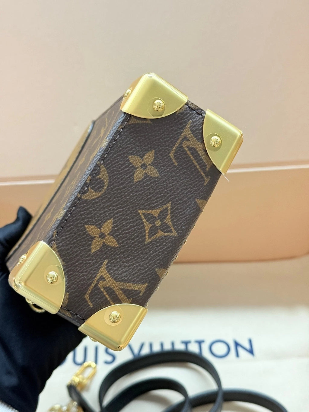Louis Vuitton Leather Camera Box Crossbody Bag For Women