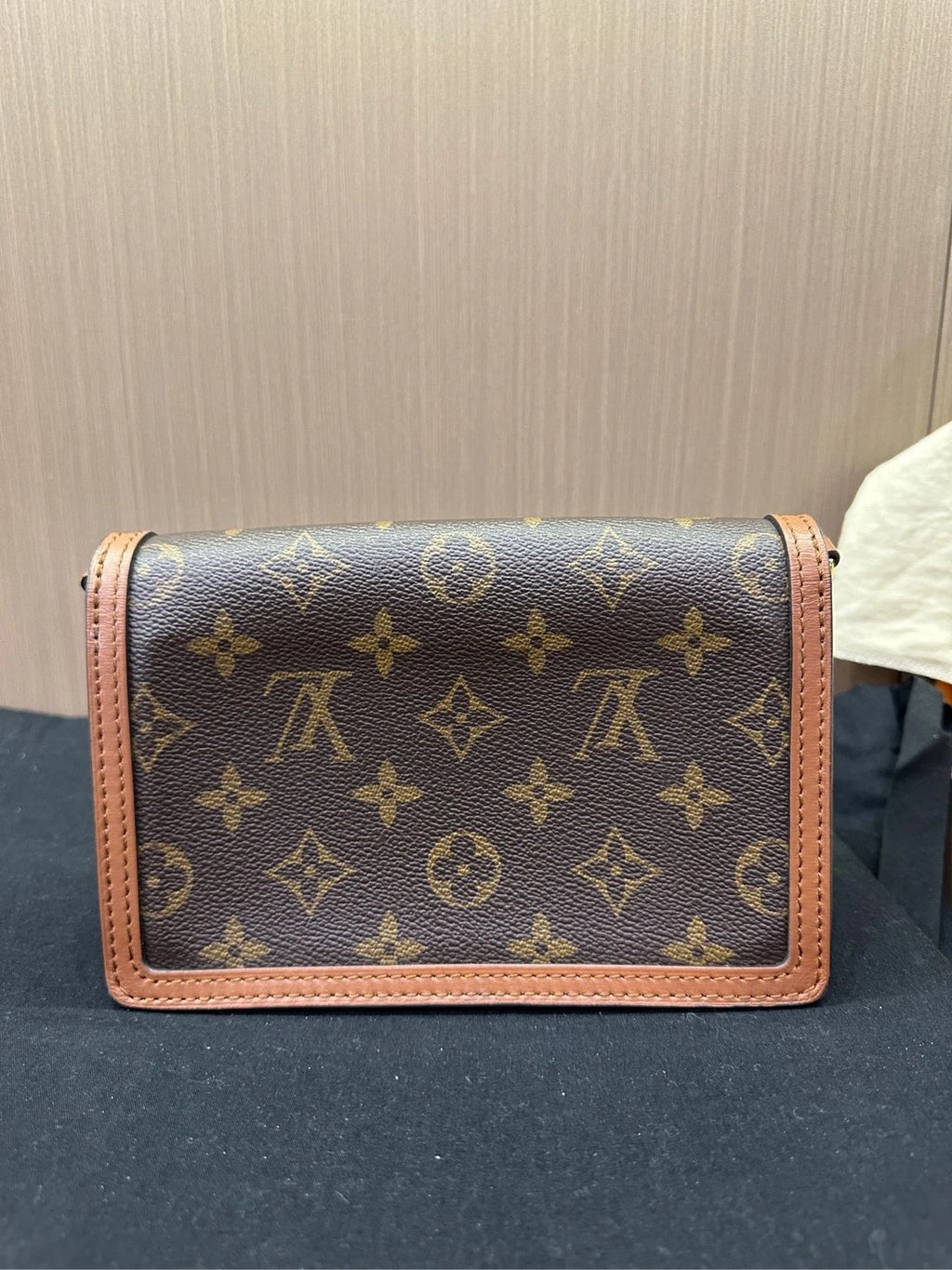 Louis Vuitton Canvas Daphne WOC Crossbody Bag For Women