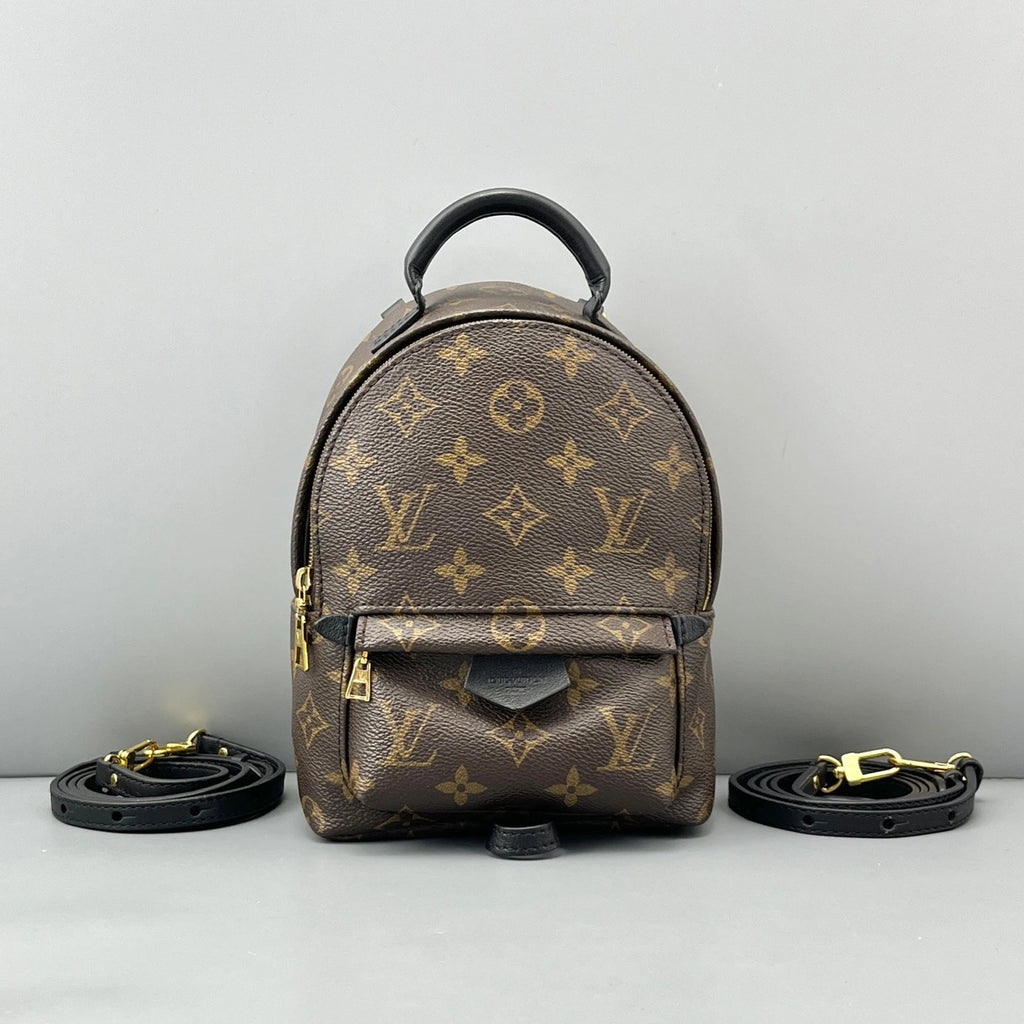 Louis Vuitton Palm Springs Monogram Brown Top Handle Backpack Excellent