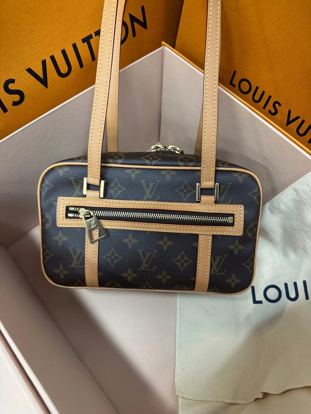 Louis Vuitton Women Canvas Open Smile Toast Tote Bag