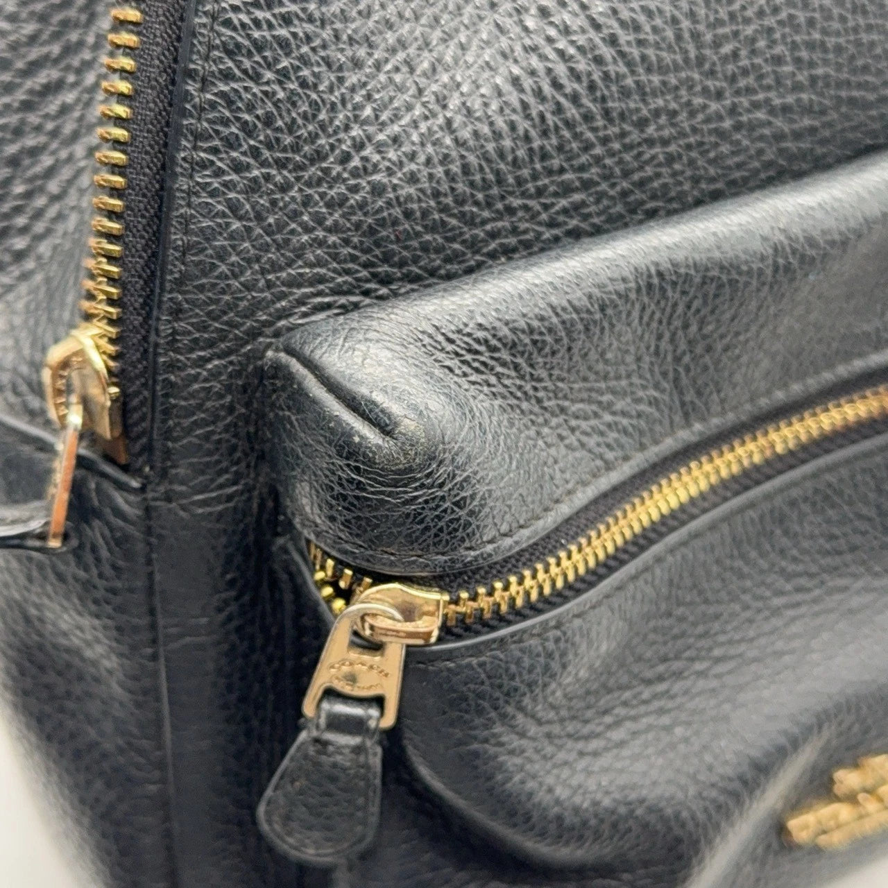 Coach Charlie 19 Logo Grain Leather Black Backpack For Women
