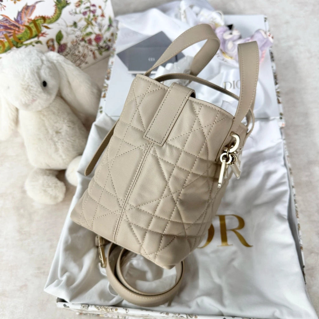 New Dior Calfskin Toujours Vertical Small Shoulder Bag For Women