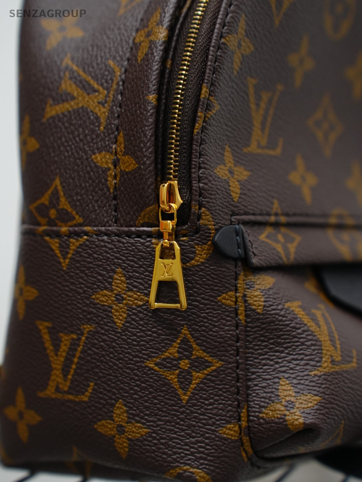 Louis Vuitton Palm Springs Backpack Shoulder bag Almost Brand NEW