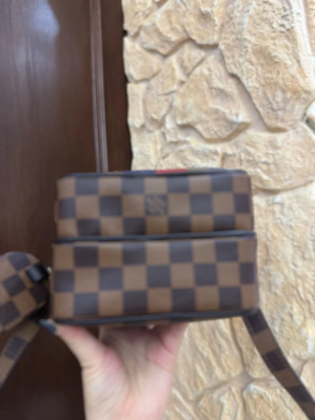 Louis Vuitton Rare Limited Edition Zebra Zoo Camera Crossbody Bag Women