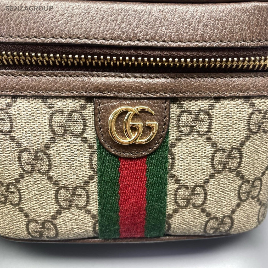 Gucci Ophidia Mini Box Crossbody Brown Gold Women Classic Fashion
