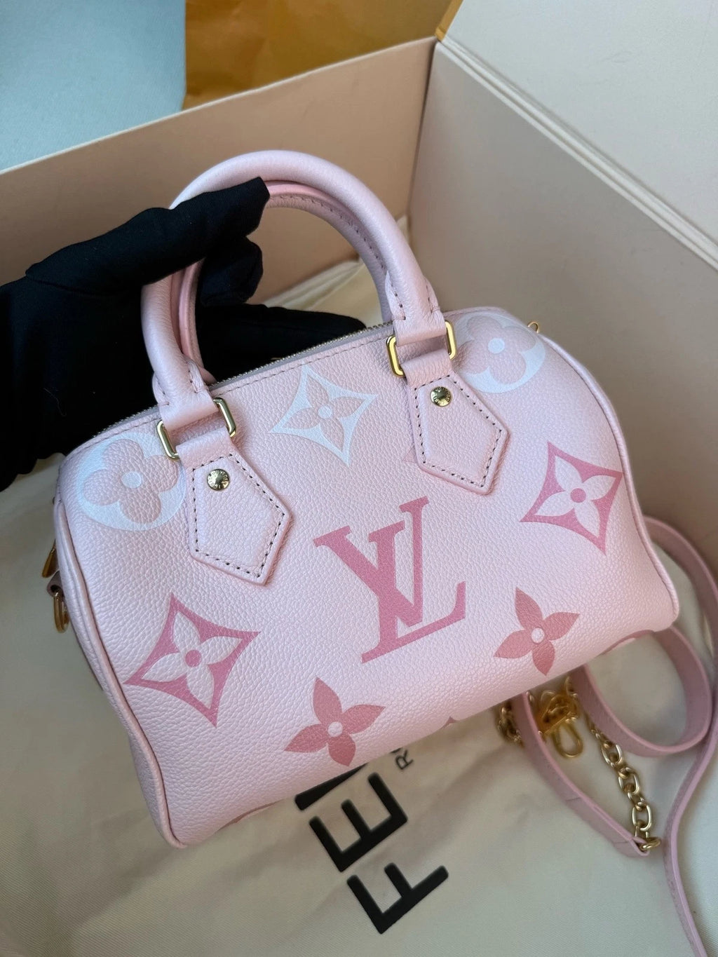 Louis Vuitton Speedy 20 Strawberry Ice Cream Handbag Women