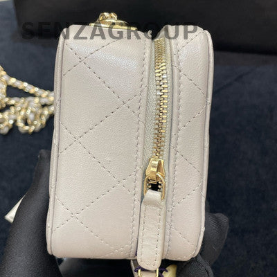 Chanel Grey Gold Hardware Trendy CC Camera Bag Chain Crossbody Women's Fashion