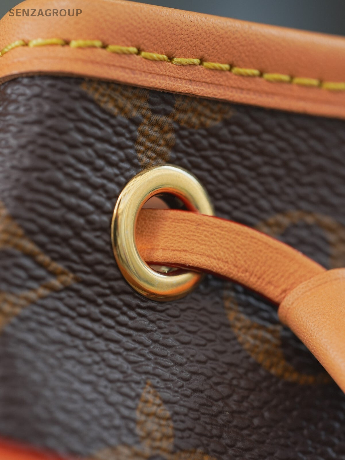 Louis Vuitton Monogram Coated Canvas Nano Noe  Crossbody Bag Almost Brand NEW