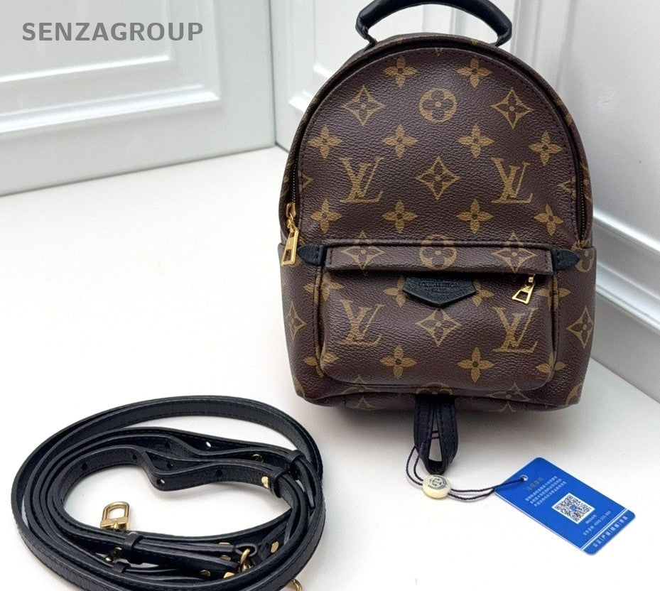 Louis Vuitton Palm Springs Monogram Backpack Women Brown