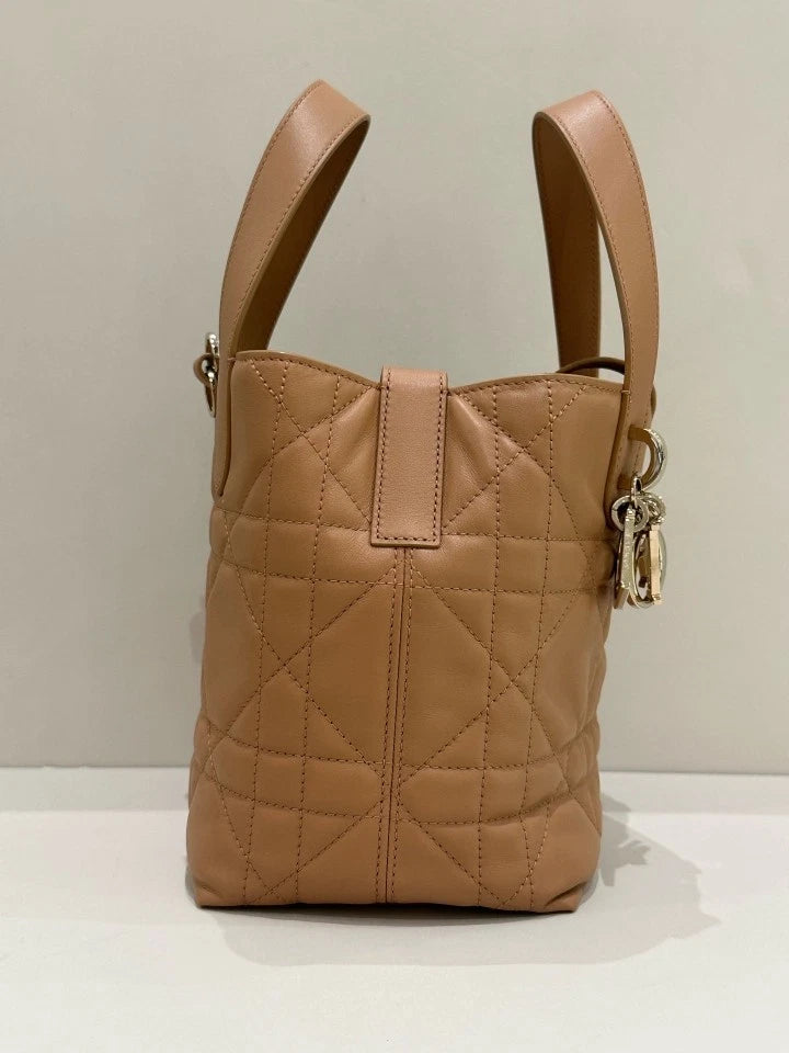 Dior Toujours Small Vertical Tote Top Handle Bag For Women