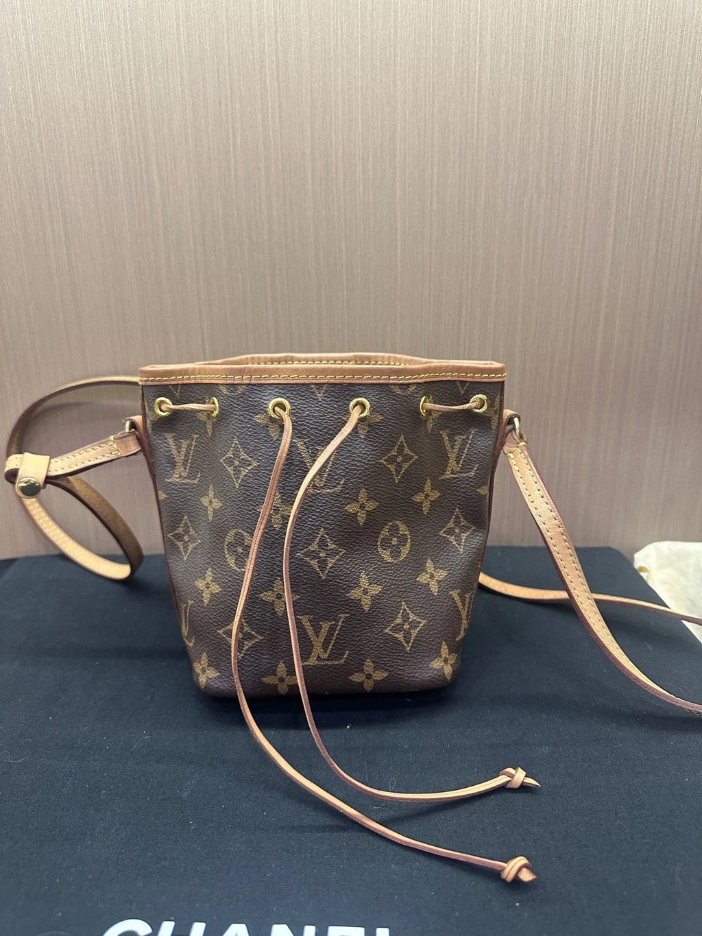 Louis Vuitton Nano Noe Monogram Canvas Bucket Bag for Women