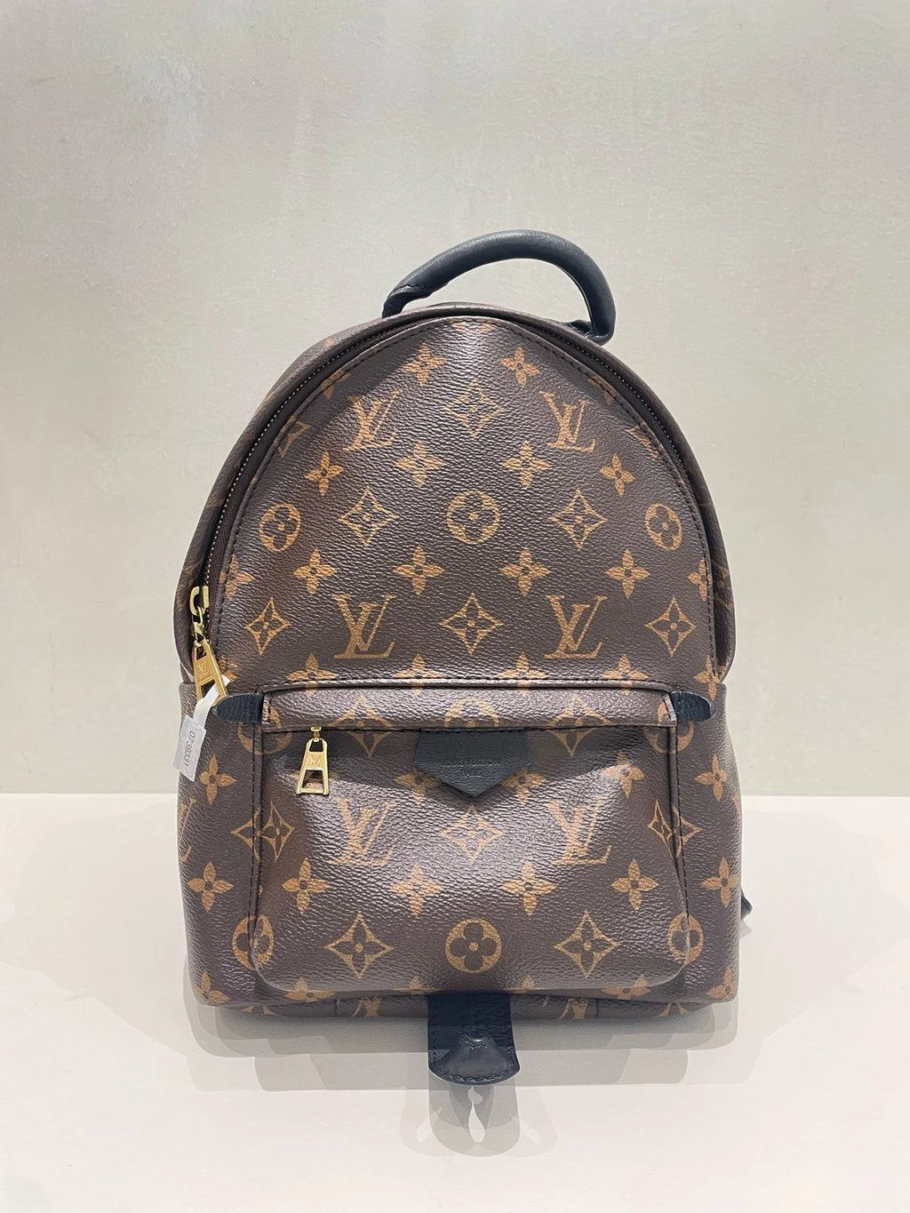 Louis Vuitton Palm Springs Monogram Canvas Small Backpack